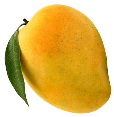 Alphonso Mango - 3