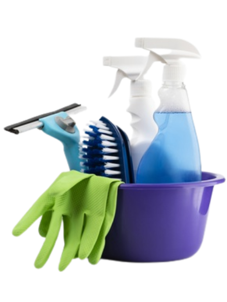 International Trade - Household Cleaning Products